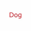 Pet Collar for Dog