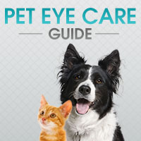 Pet Eye Care Guide