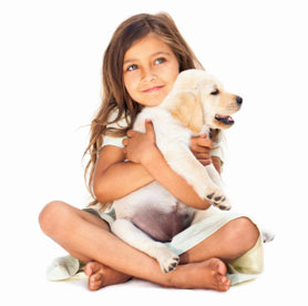 Pet Finder: How to Adopt a Pet