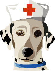Pet First Aid Kits