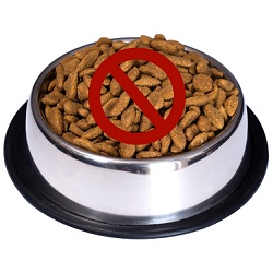 Pet Food Recall