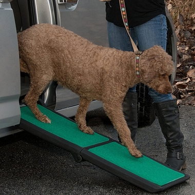 PET-GEAR-BI-FOLD-PET-RAMP-SUPERTRAX-BLACK-GREEN