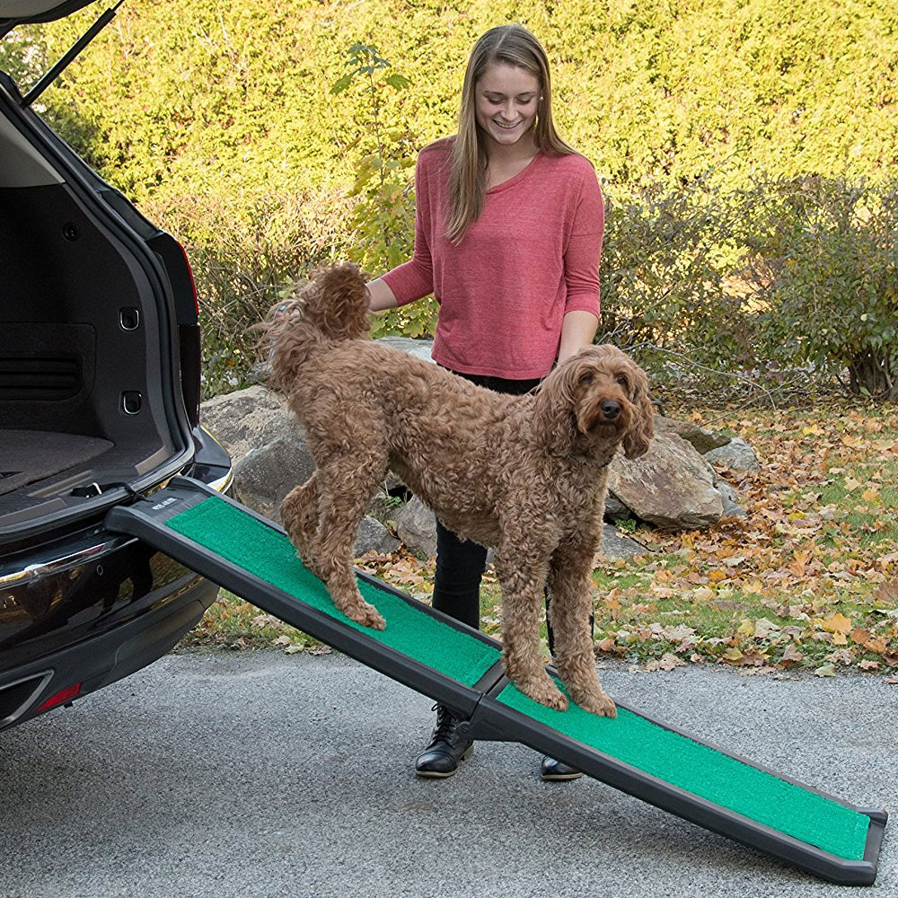 PET-GEAR-BI-FOLD-PET-RAMP-SUPERTRAX-BLACK-GREEN