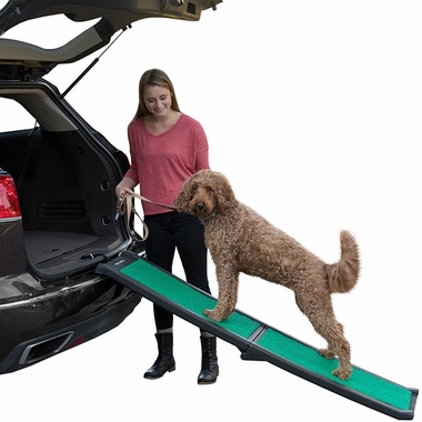 PET-GEAR-BI-FOLD-PET-RAMP-SUPERTRAX-BLACK-GREEN