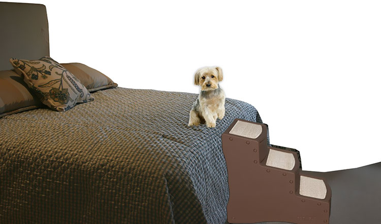 PET-GEAR-EASY-STEP-III-SAGE