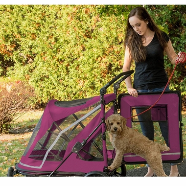 PET-GEAR-EXPEDITION-BOYSENBERRY
