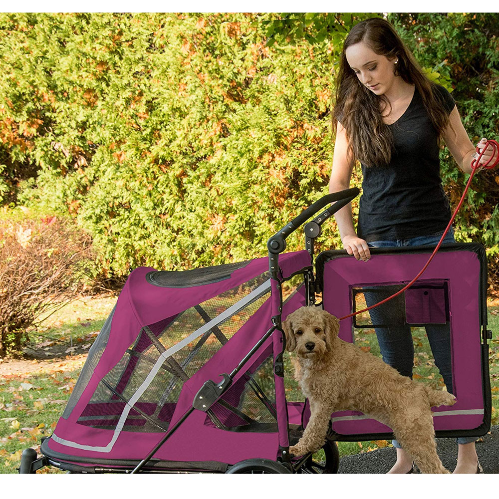 PET-GEAR-EXPEDITION-BOYSENBERRY