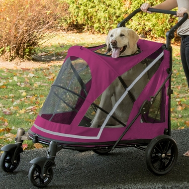 PET-GEAR-EXPEDITION-BOYSENBERRY