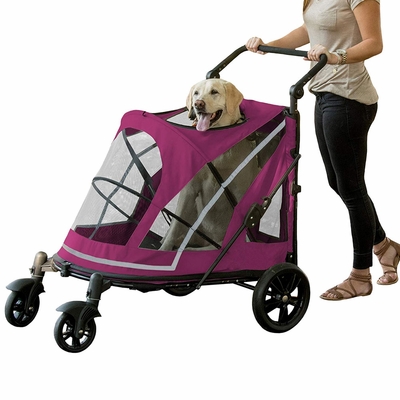 PET-GEAR-EXPEDITION-BOYSENBERRY