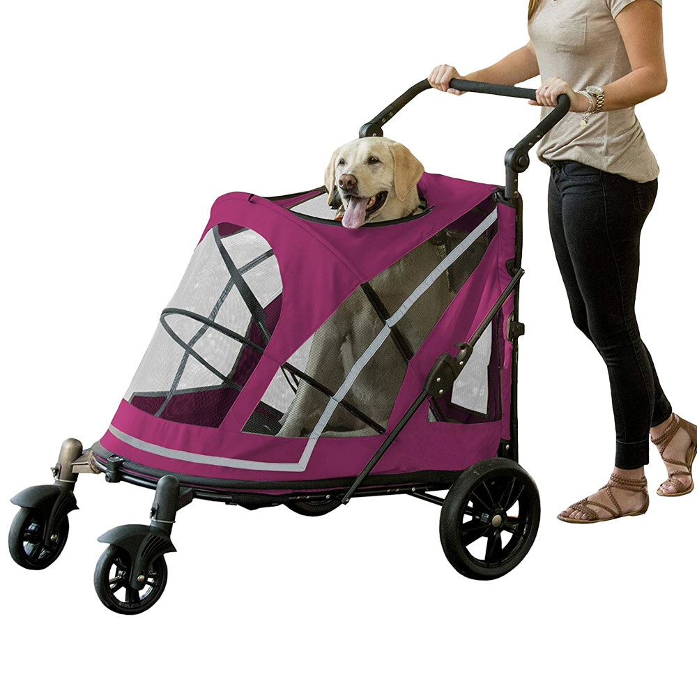 PET-GEAR-EXPEDITION-BOYSENBERRY