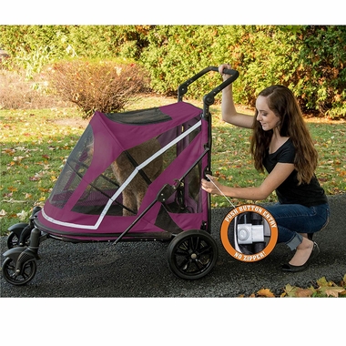 PET-GEAR-EXPEDITION-BOYSENBERRY