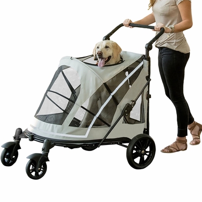 PET-GEAR-EXPEDITION-FOG