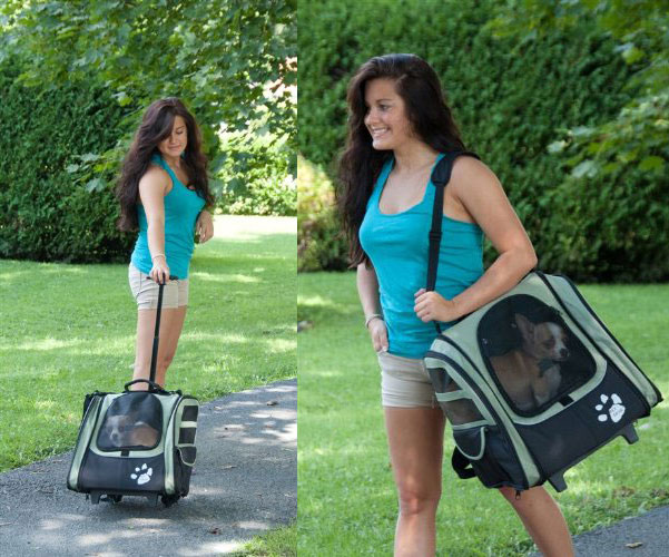 PET-GEAR-I-GO2-TRAVELER-BLACK