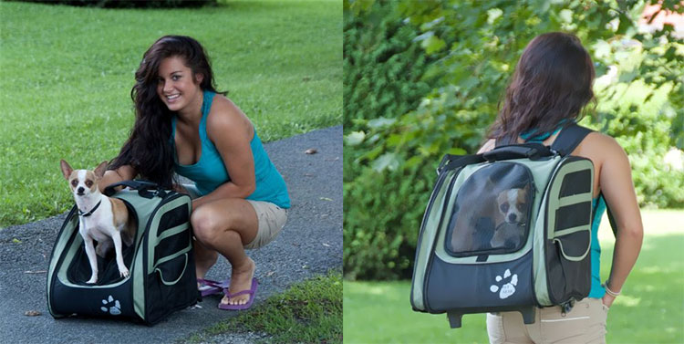 PET-GEAR-I-GO2-TRAVELER-BLACK