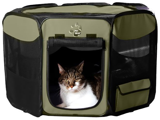 PET-GEAR-OCTAGON-PET-PEN