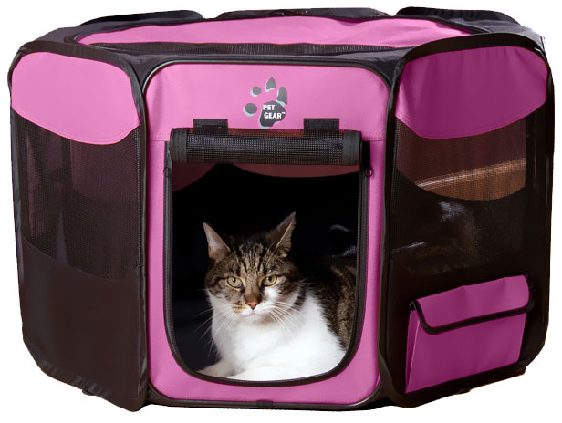 PET-GEAR-OCTAGON-PET-PEN-WITH-REMOVABLE-TOP-36-PINK
