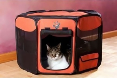 PET-GEAR-OCTAGON-PET-PEN-WITH-REMOVABLE-TOP-36-SAGE