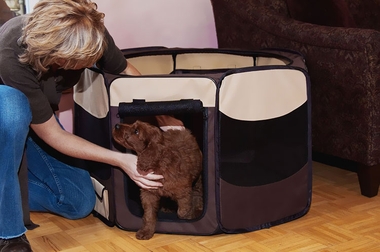 PET-GEAR-OCTAGON-PET-PEN-WITH-REMOVABLE-TOP-36-SAGE