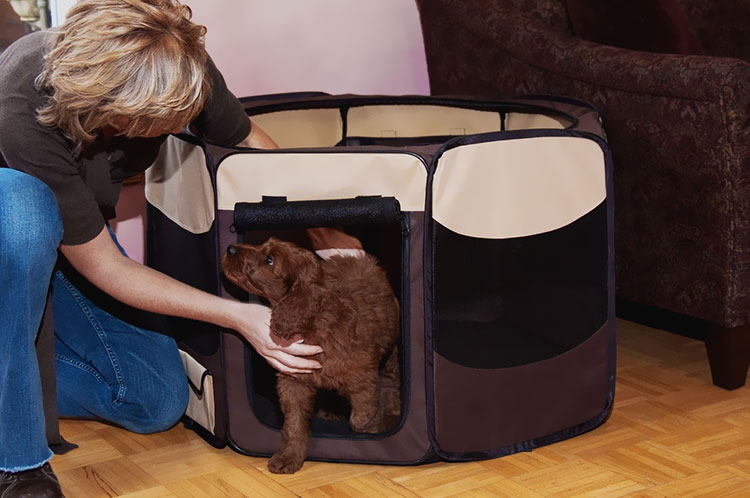 PET-GEAR-OCTAGON-PET-PEN-WITH-REMOVABLE-TOP-36-SAGE