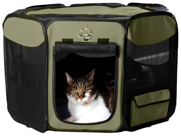 PET-GEAR-OCTAGON-PET-PEN-WITH-REMOVABLE-TOP-42-SAGE