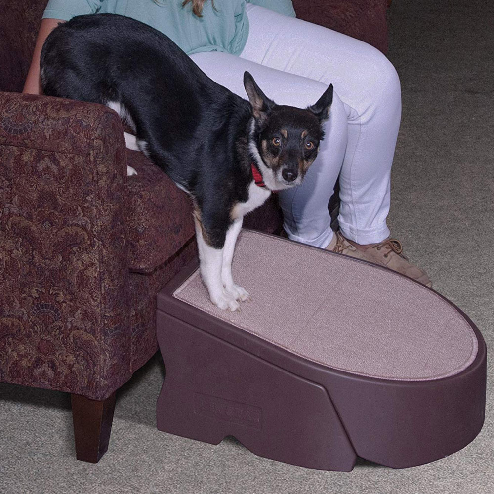 PET-GEAR-ONE-STEP-CHOCOLATE