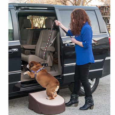 PET-GEAR-ONE-STEP-CHOCOLATE