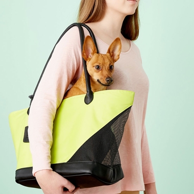PET-GEAR-TOTE-BAG-CITRON