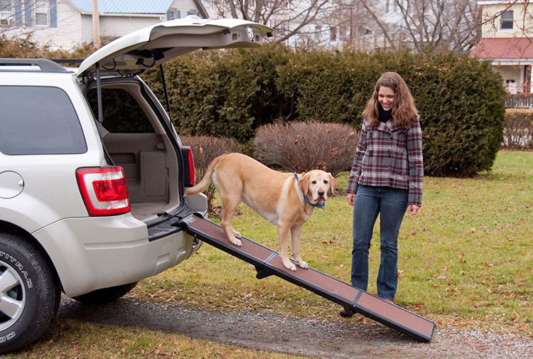 PET-GEAR-TRAVEL-LITE-TRI-FOLD-PET-RAMP-CHOCOLATE-BLACK