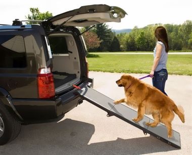 PET-GEAR-TRI-FOLD-PET-RAMP-GREY-BLACK