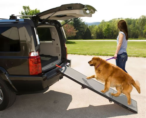 PET-GEAR-TRI-FOLD-PET-RAMP-GREY-BLACK