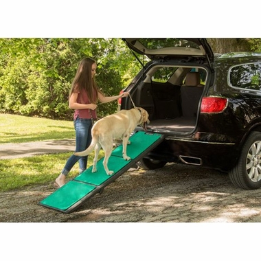 PET-GEAR-TRI-FOLD-PET-RAMP-SUPERTRAX-GREEN