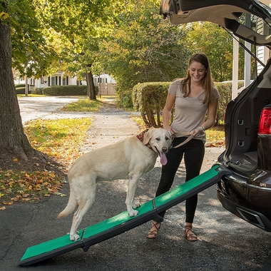 PET-GEAR-TRI-FOLD-RAMP-SUPERTRAX-BLACK-GREEN