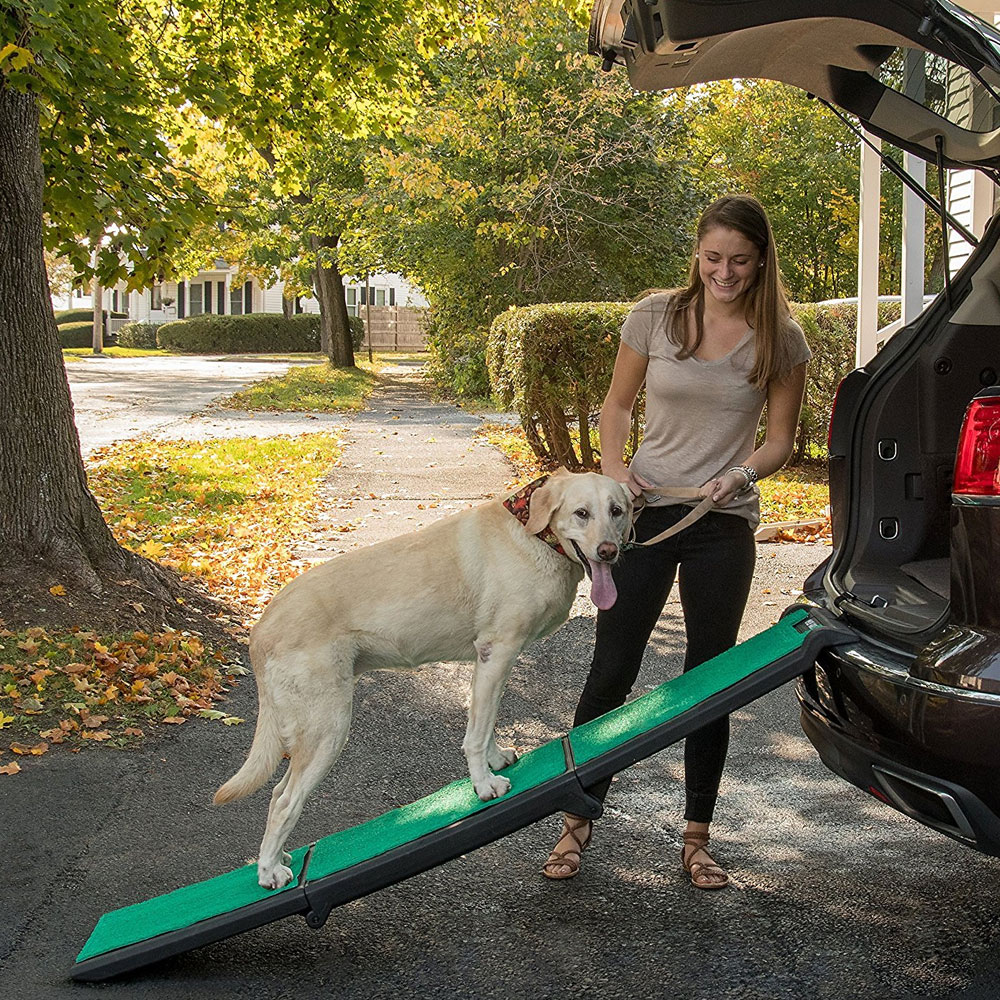 PET-GEAR-TRI-FOLD-RAMP-SUPERTRAX-BLACK-GREEN