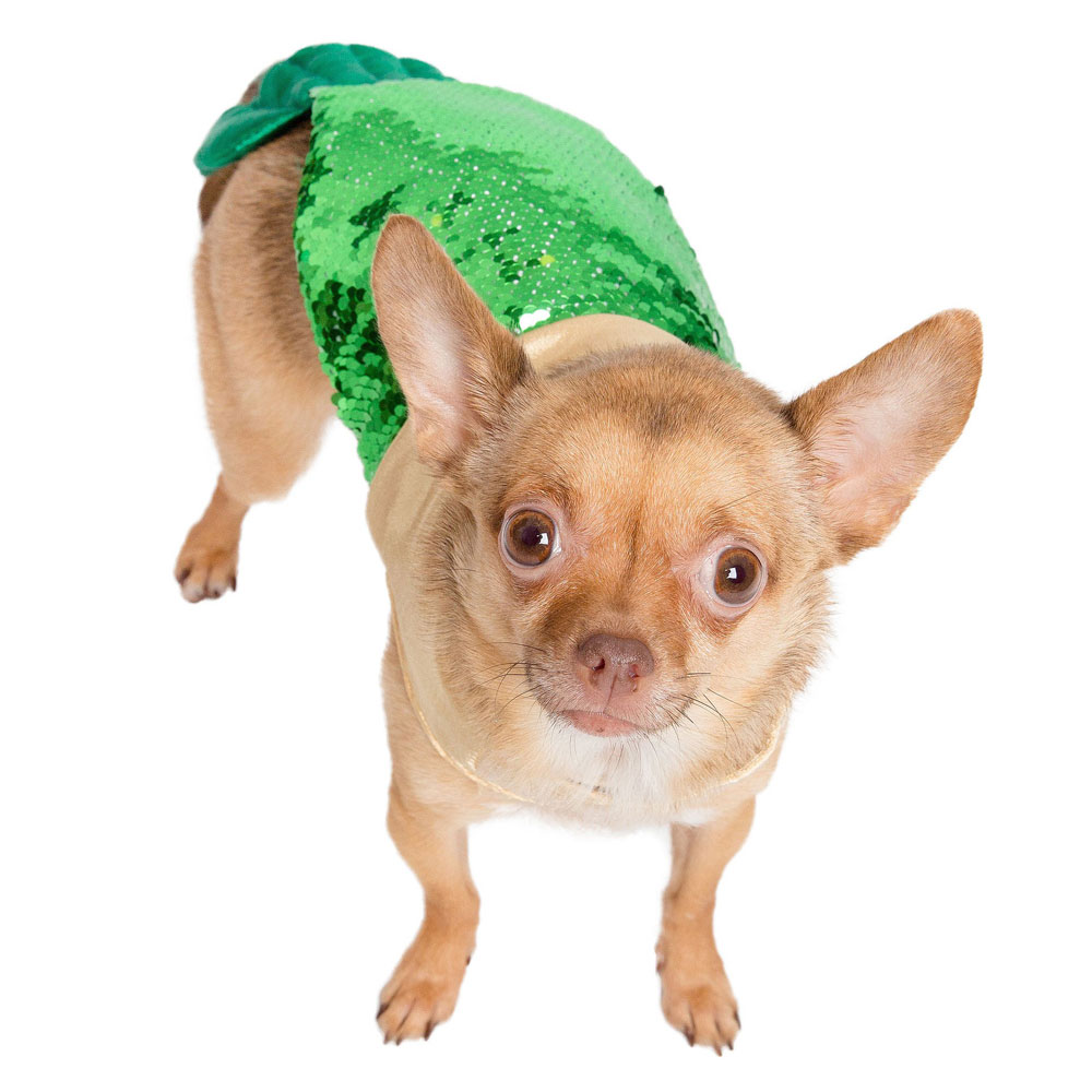 PET-KREWE-MERMAID-MERMAN-DOG-COSTUME