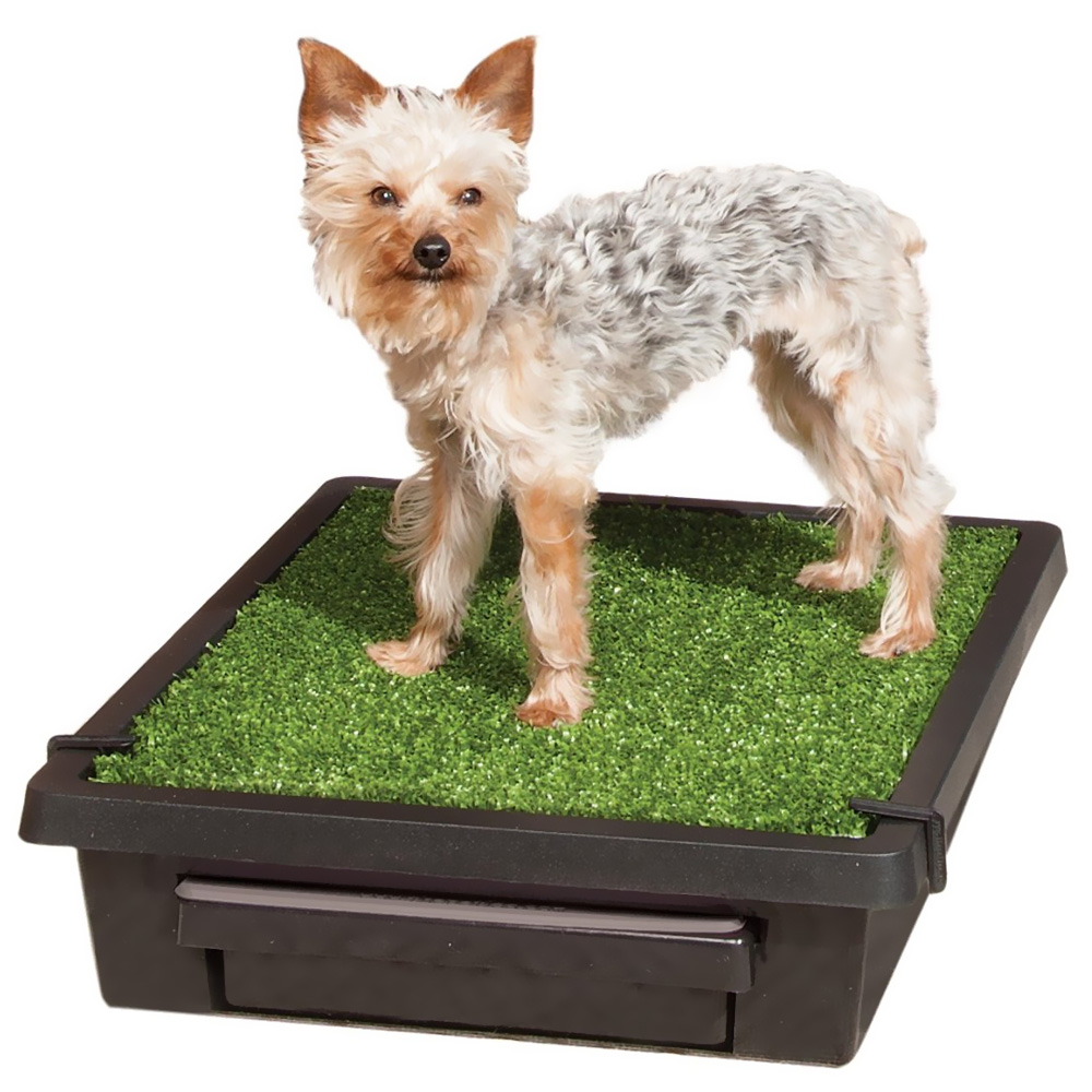 PET-LOO