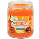 Pet Odor Exterminator Candle - Mandarin Spice Jar (13 oz)