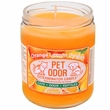 Pet Odor Exterminator Candle - Orange Lemon Splash Jar (13 oz)