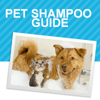 Pet Shampoo guide For Dogs & Cats