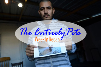 PETA Kills Family Pet and Apologizes with Fruit Basket, Austin Pets Alive Keeps Austin Kill-Free Amidst Adversity, and the Alleged Cat Killer of New York Awaits Trial- This & More in the EntirelyPets Weekly Recap (November 15-21, 2014)