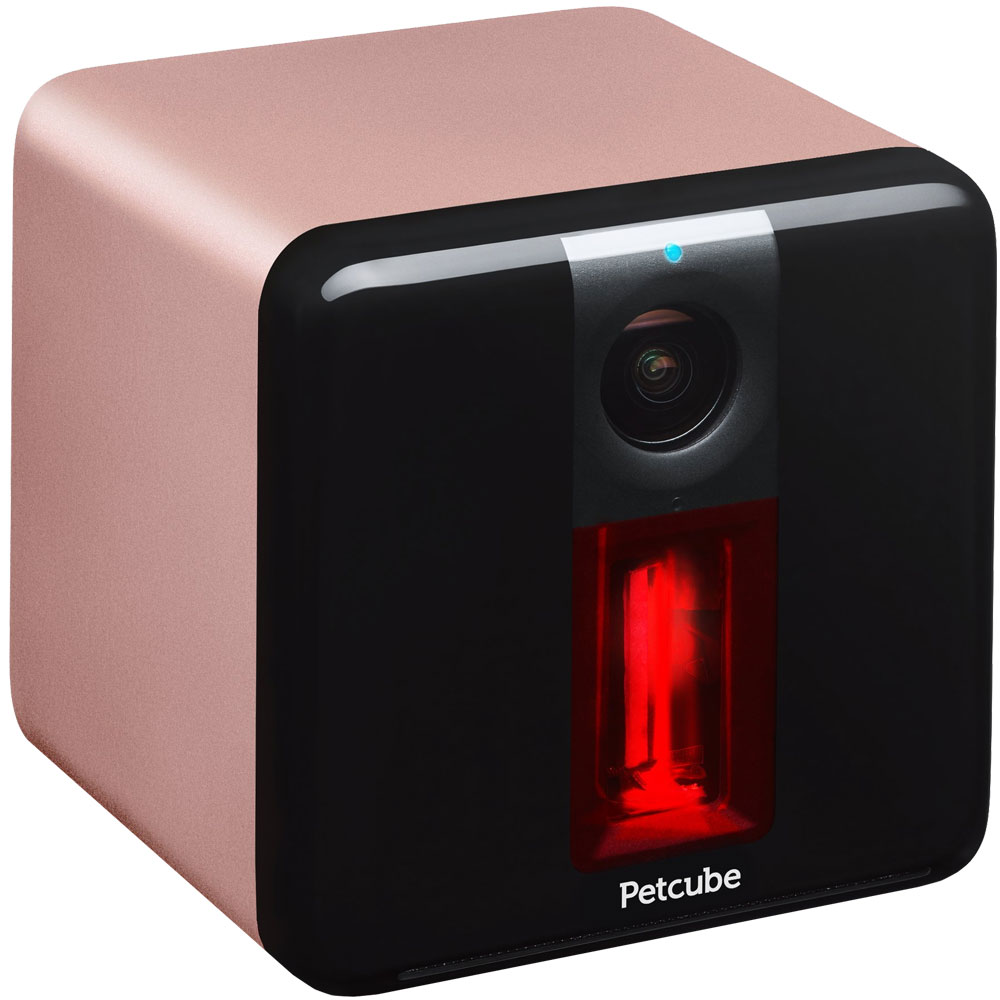 PETCUBE-PLAY-ROSE-GOLD