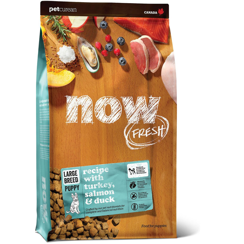 Petcurean Now Fresh Large Breed Puppy Food (6 lb) On Sale