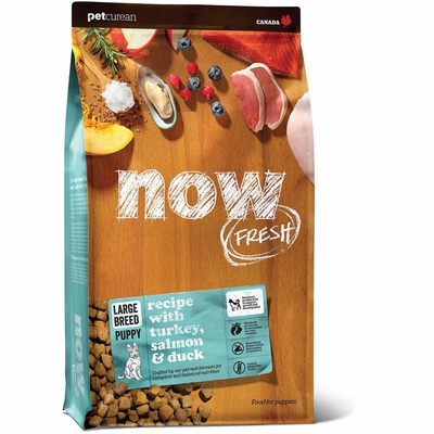 NOW-FRESH-LARGE-BREED-PUPPY-FOOD-6-LB