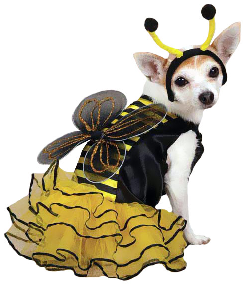 Petedge Costumes/Tee & Dress