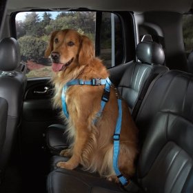 Petedge Harness / Leashes & Car Seat Cover