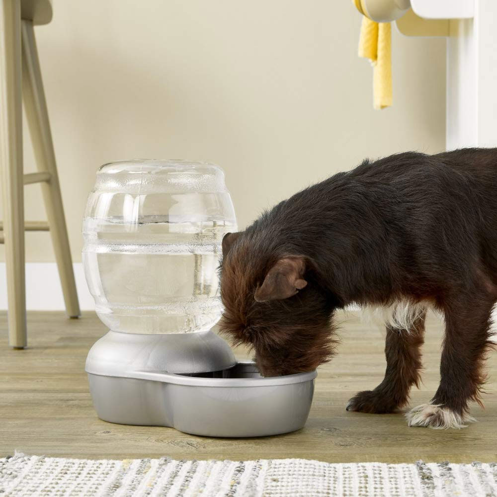PETMATE-REPLENDISH-WATERER-MICROBAN-05-GALLON-WHITE