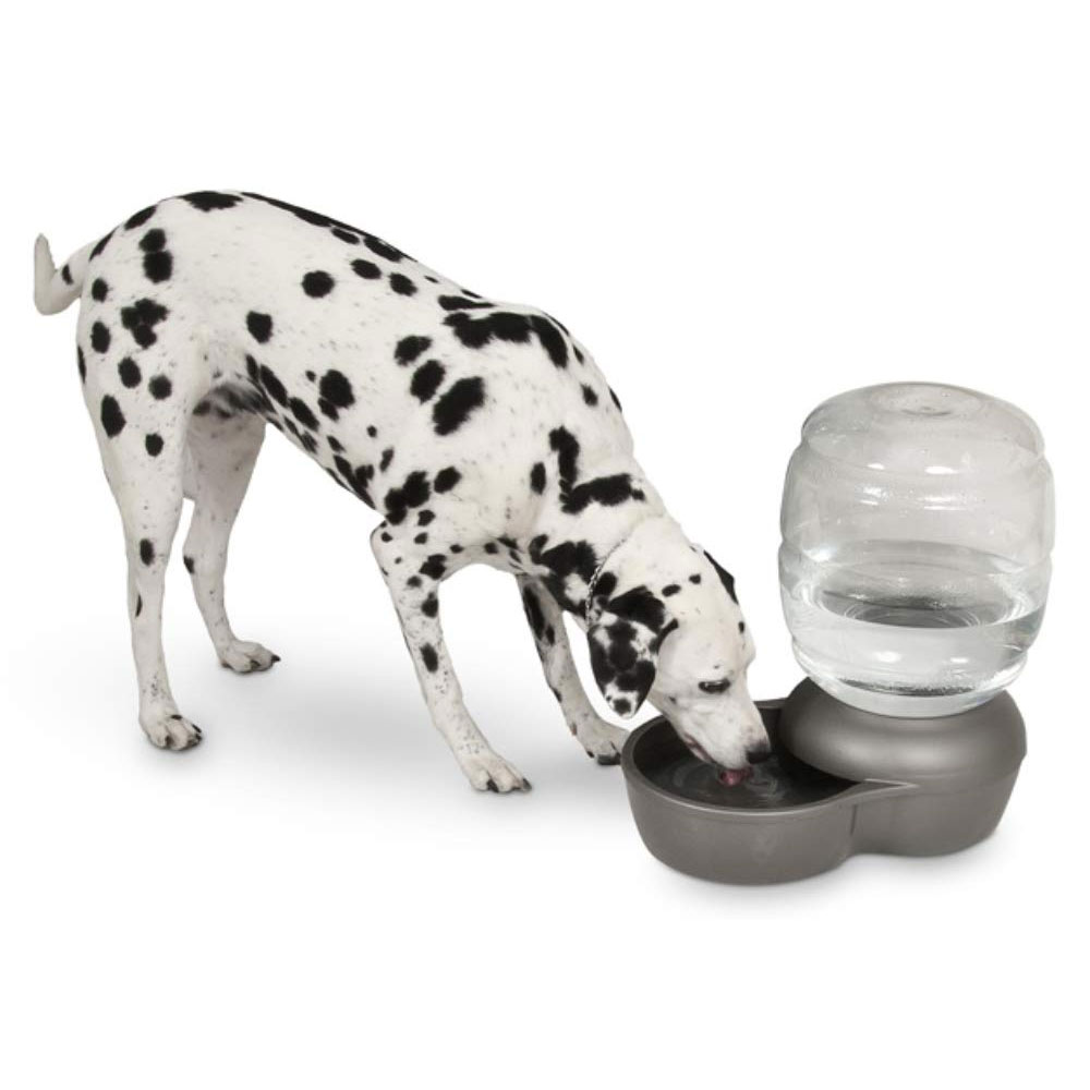 PETMATE-REPLENDISH-WATERER-MICROBAN-05-GALLON-WHITE