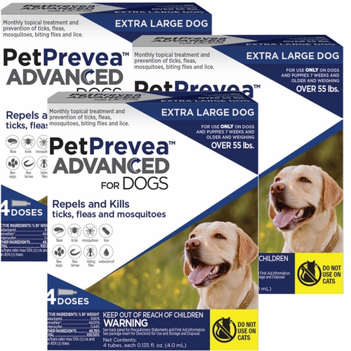 Flea Tick Fly Catching Syndrome Dogs Treatment PetPrevea Advanced