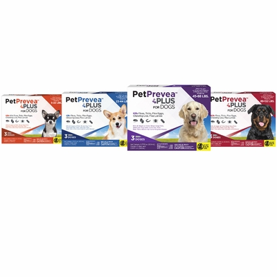 PETPREVEA-PLUS-FLEA-TICK-DOGS-CATS