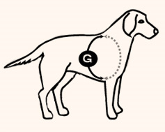 EASYHARNESS