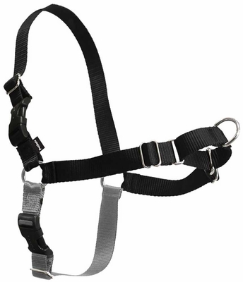 EASYHARNESS